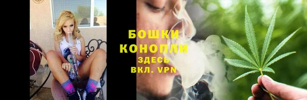 spice Вяземский