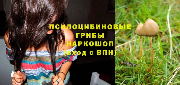 бутират Горнозаводск