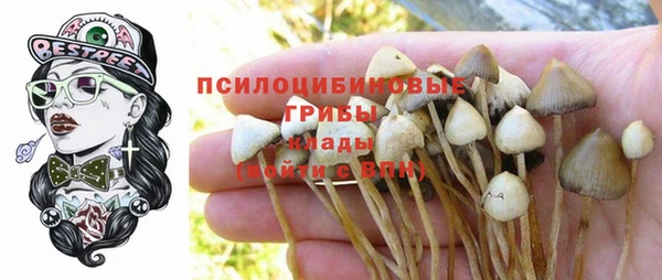 jwh Горно-Алтайск